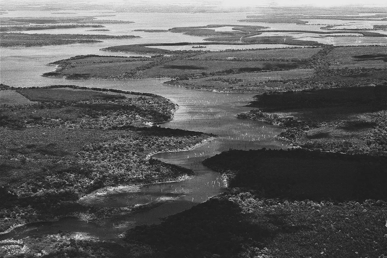 Por Evelyn Proimos – Flickr: Flying Over Esteros del Iberá: The kingdom of water, North-eastern Argentina, CC BY 4.0, https://www.flickr.com/photos/evelynproimos/. Modificada a blanco y negro.